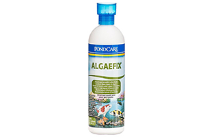 API AlgaeFix 237 ml kiểm soát nhiều loại tảo nước màu xanh